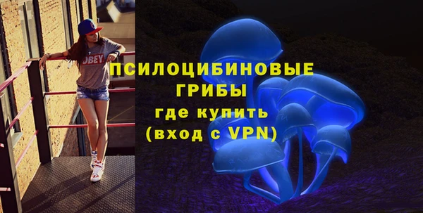 спиды Алексин