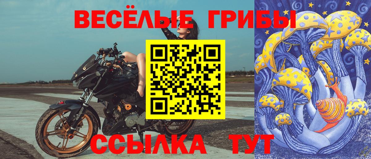 Псилоцибиновые грибы мицелий  Вход с VPN  Лесосибирск 