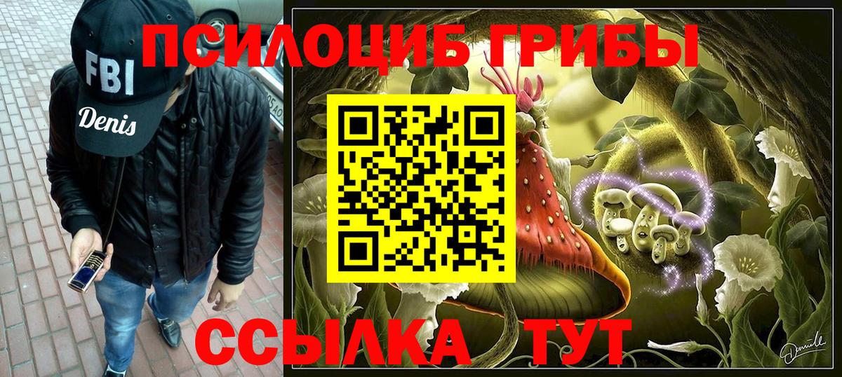 Псилоцибиновые грибы Psilocybine cubensis Лесосибирск